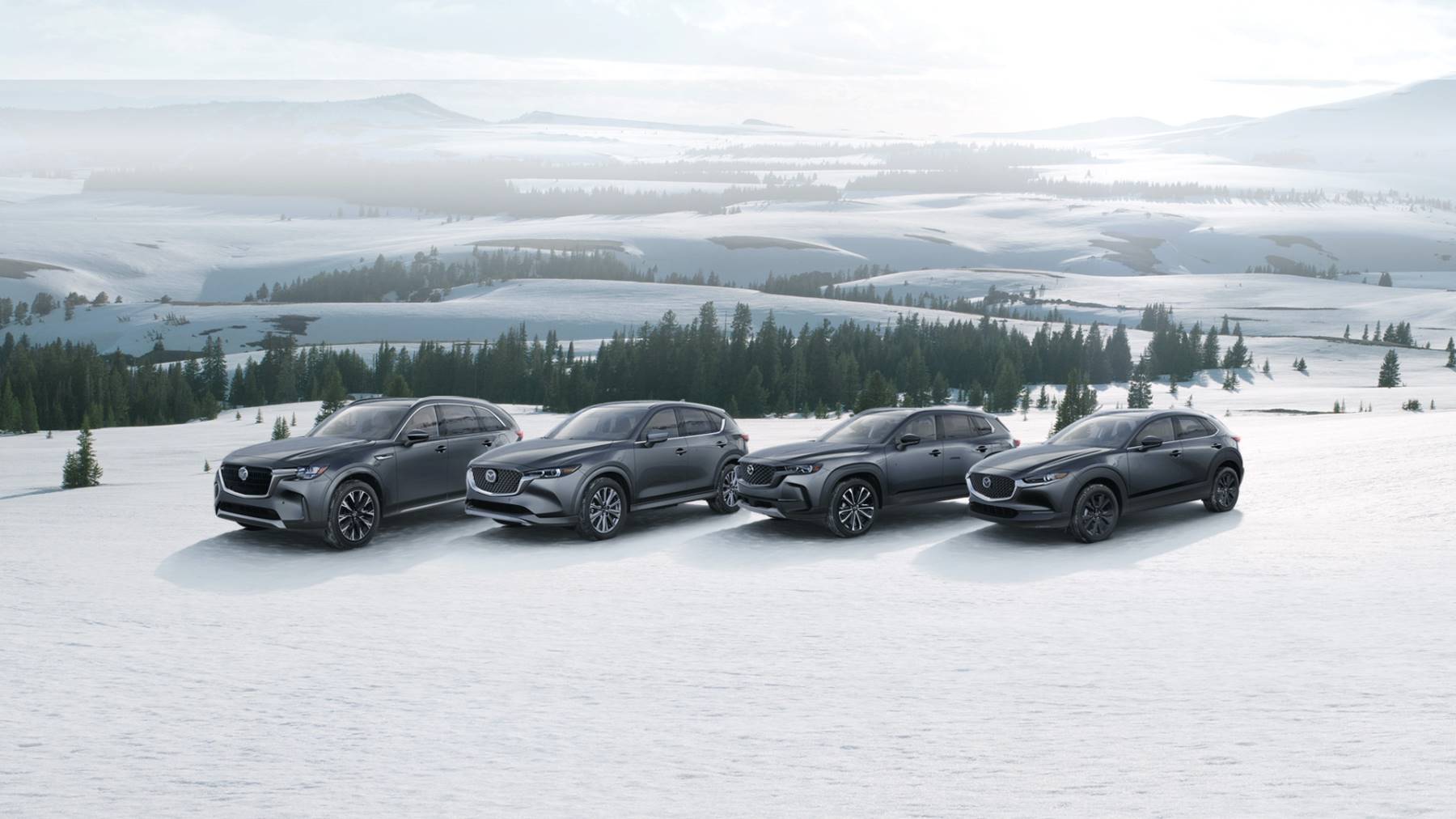 Mazda cars in the snow