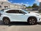 2021 Lexus Nx NX 300 F SPORT