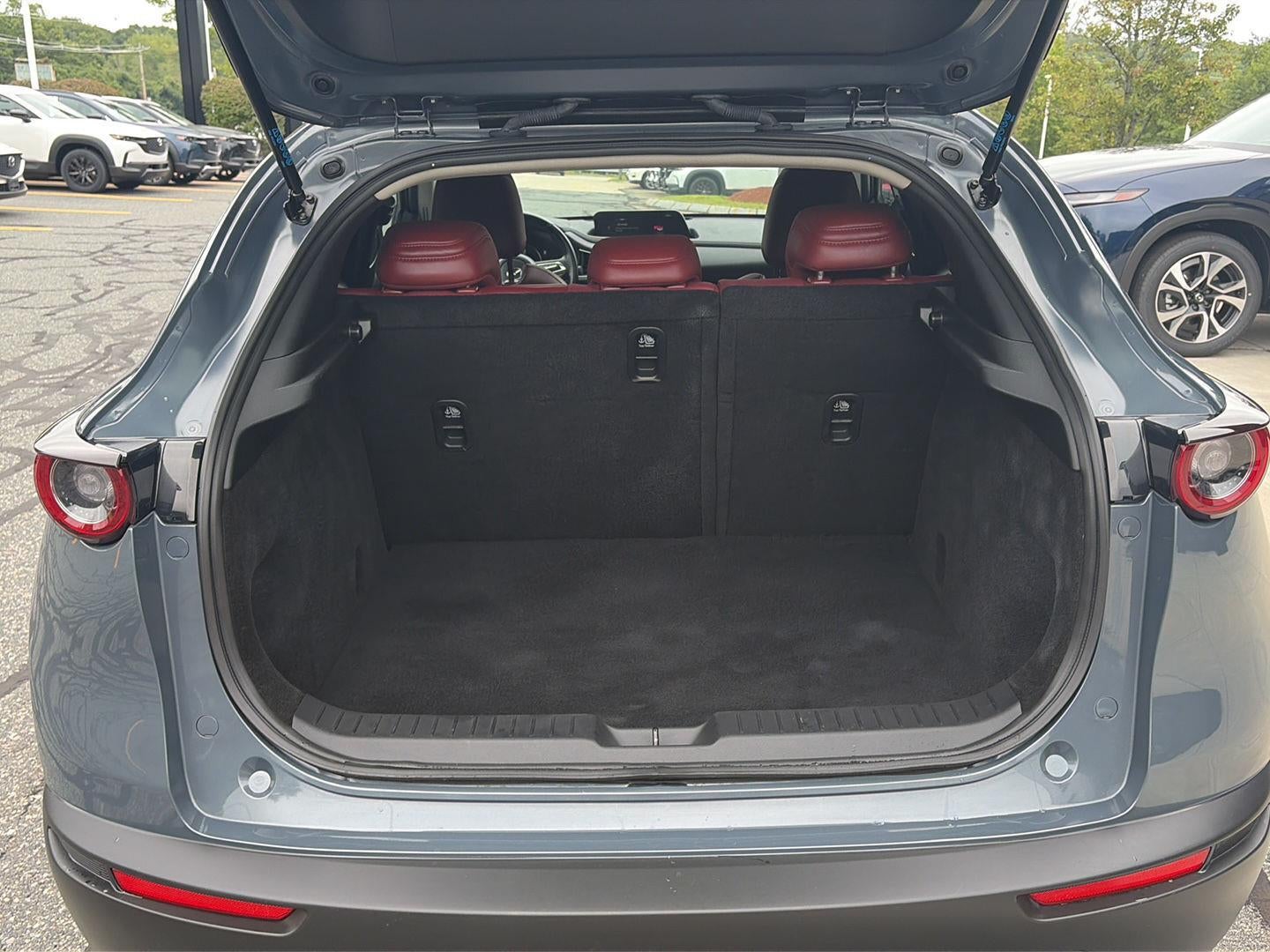 2023 Mazda Mazda Cx-30 2.5 S Carbon Edition