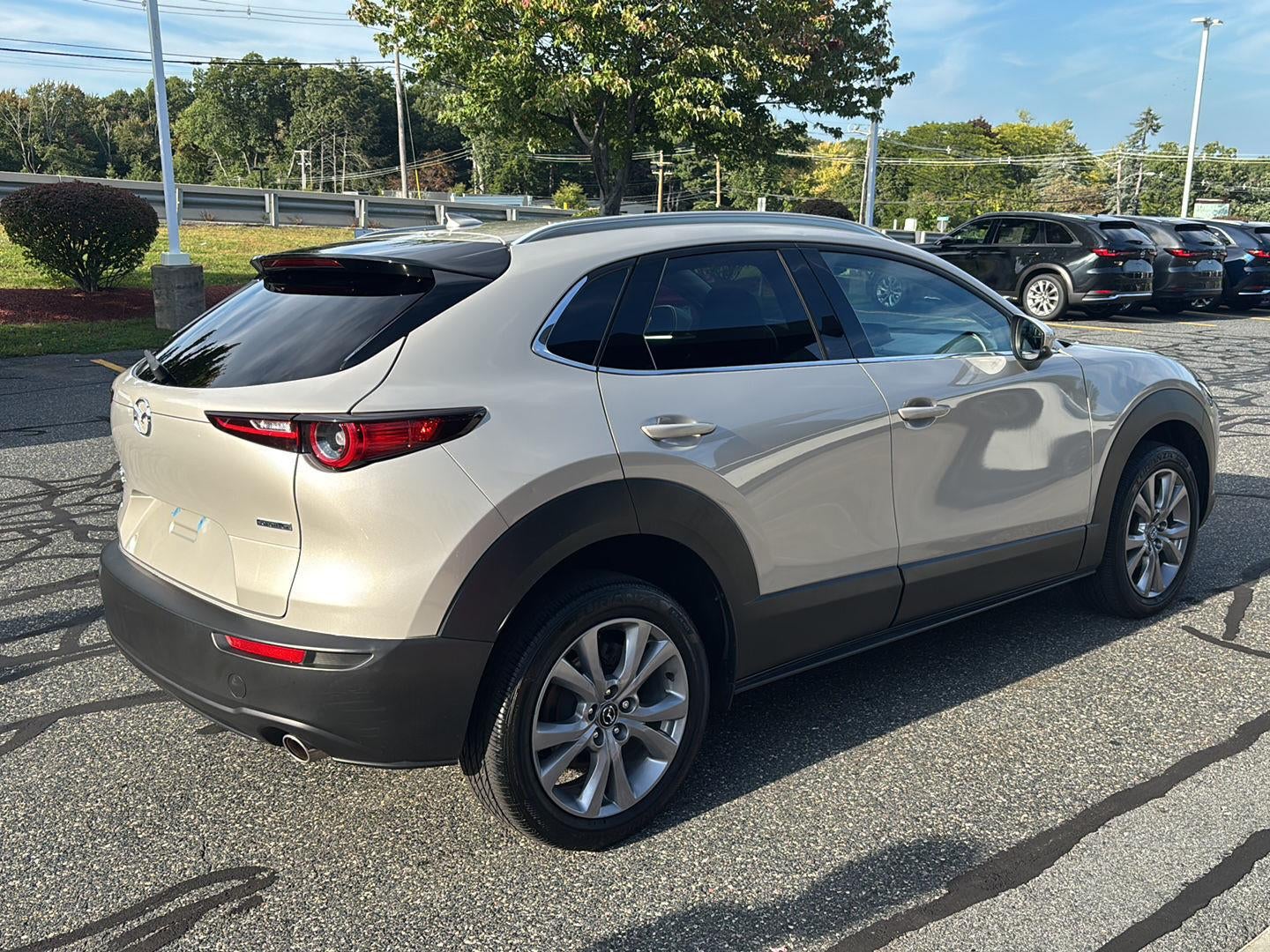 2024 Mazda Mazda Cx-30 2.5 S Premium Package