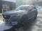 2023 Mazda Mazda CX-9 Carbon Edition